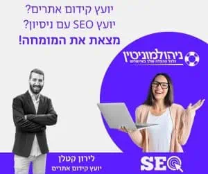 יועץ SEO